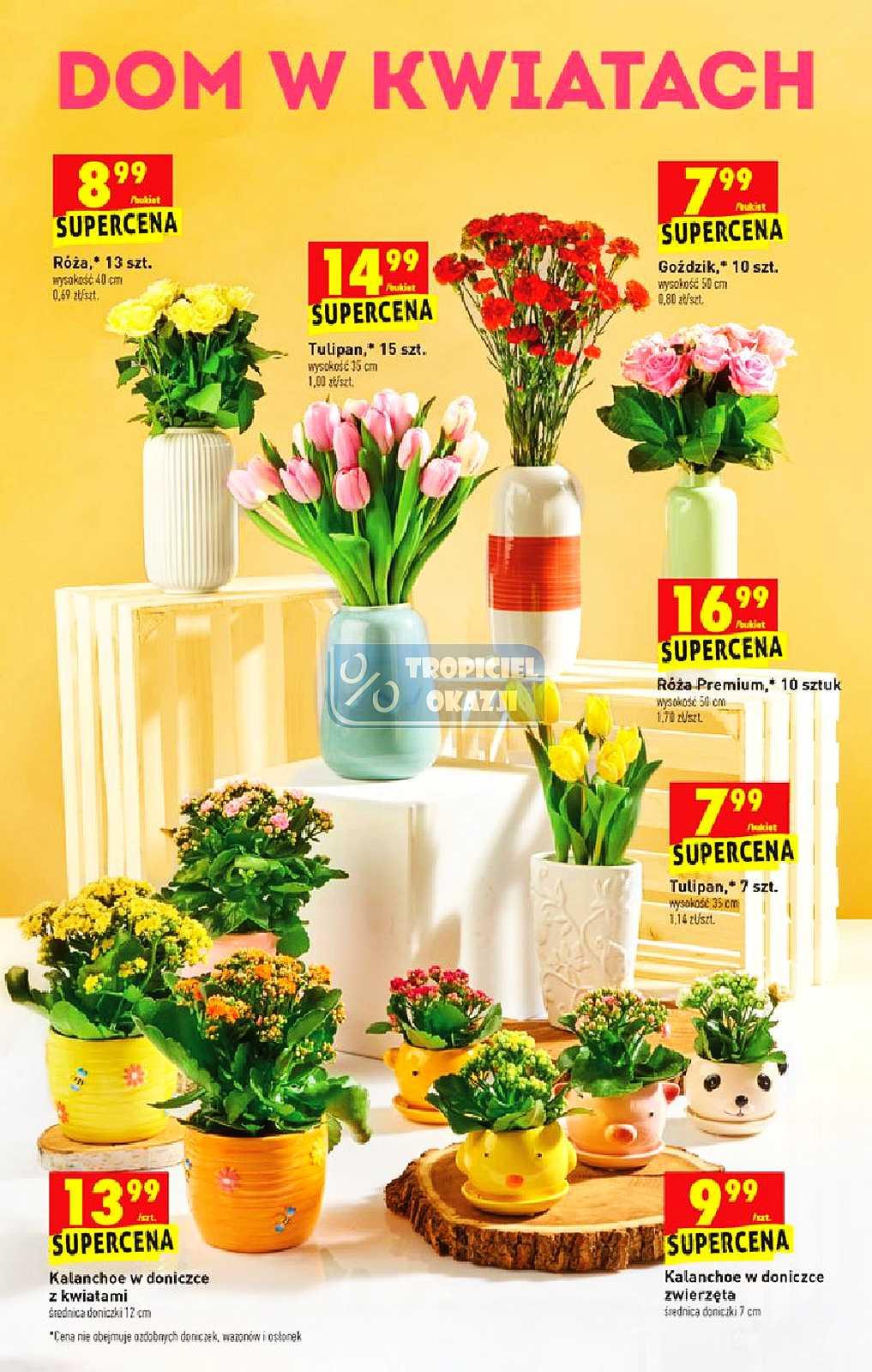 Gazetka promocyjna Biedronka str. 47