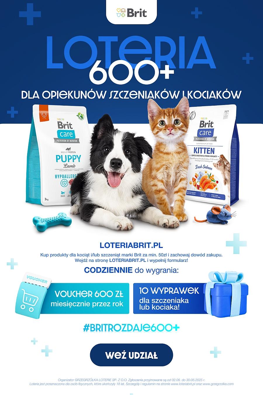 Gazetka promocyjna Biedronka str. 54