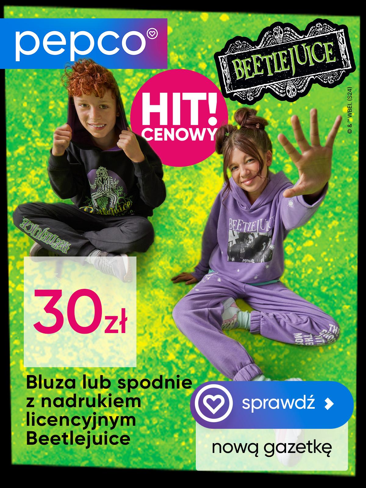 Gazetka promocyjna Biedronka str. 4