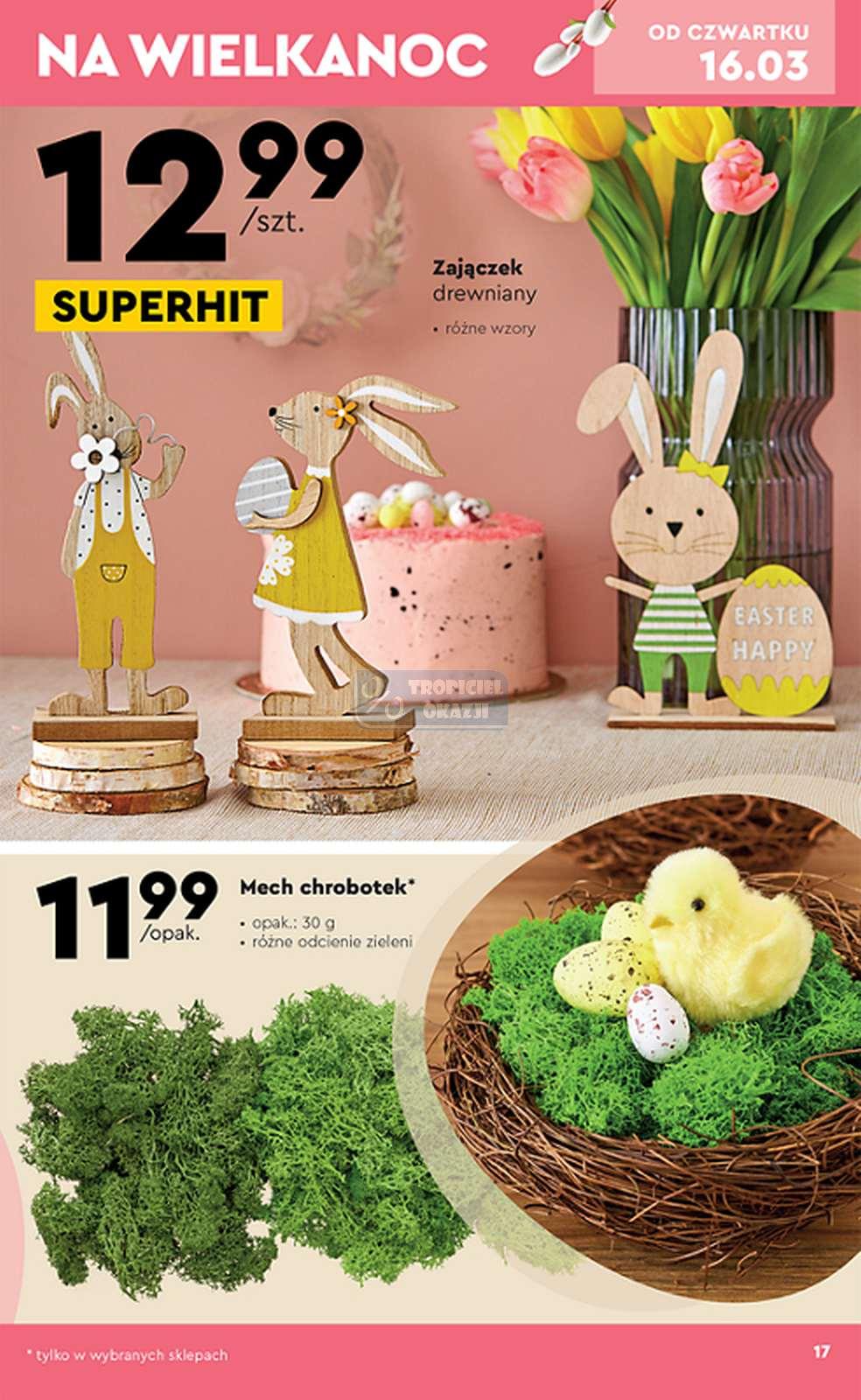 Gazetka promocyjna Biedronka str. 17