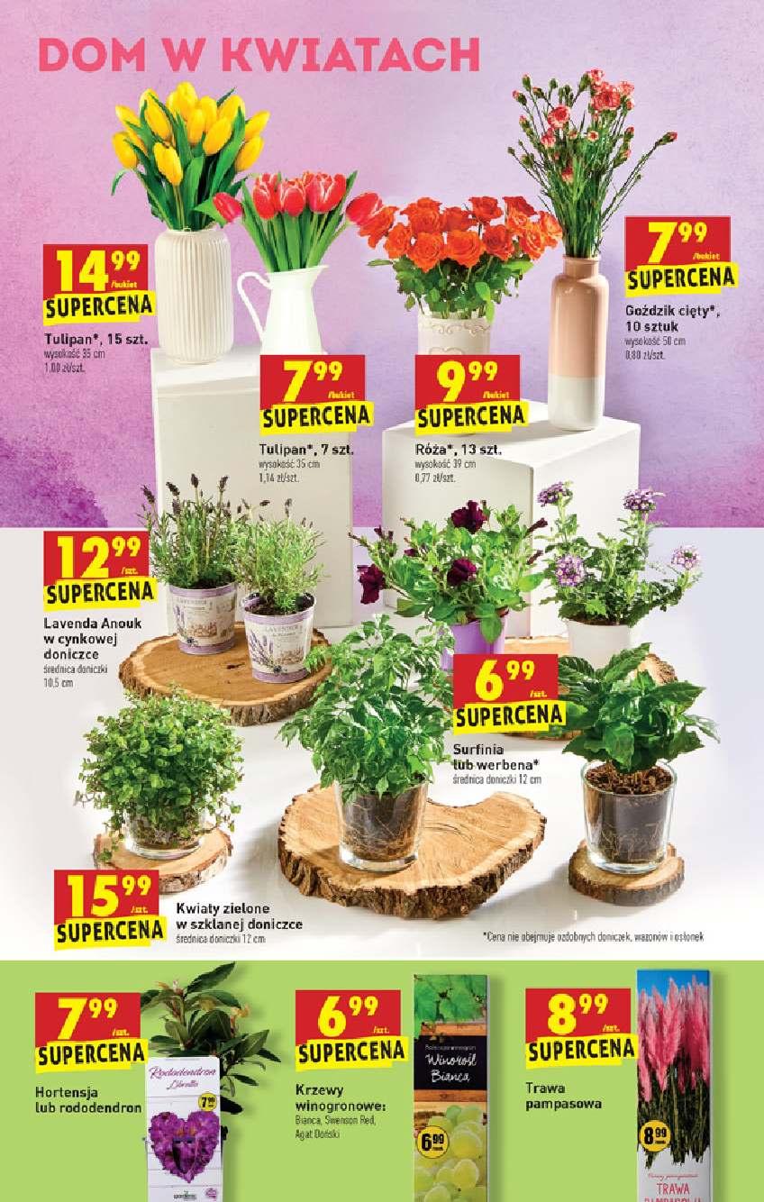 Gazetka promocyjna Biedronka str. 35