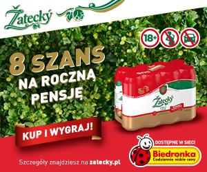 Gazetka promocyjna Biedronka str. 17