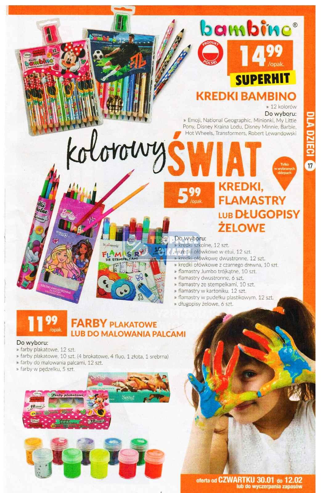 Gazetka promocyjna Biedronka str. 17