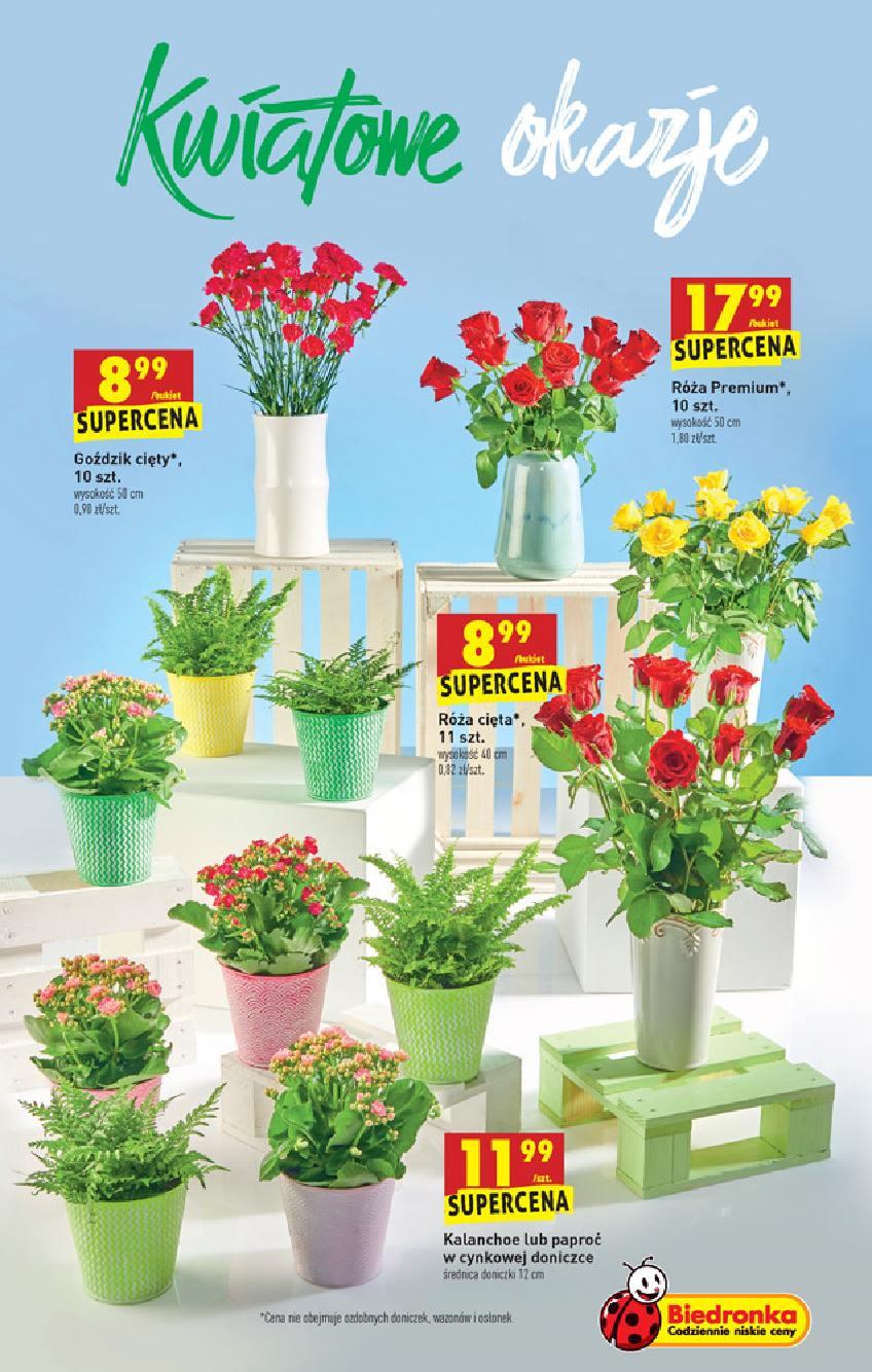 Gazetka promocyjna Biedronka str. 55