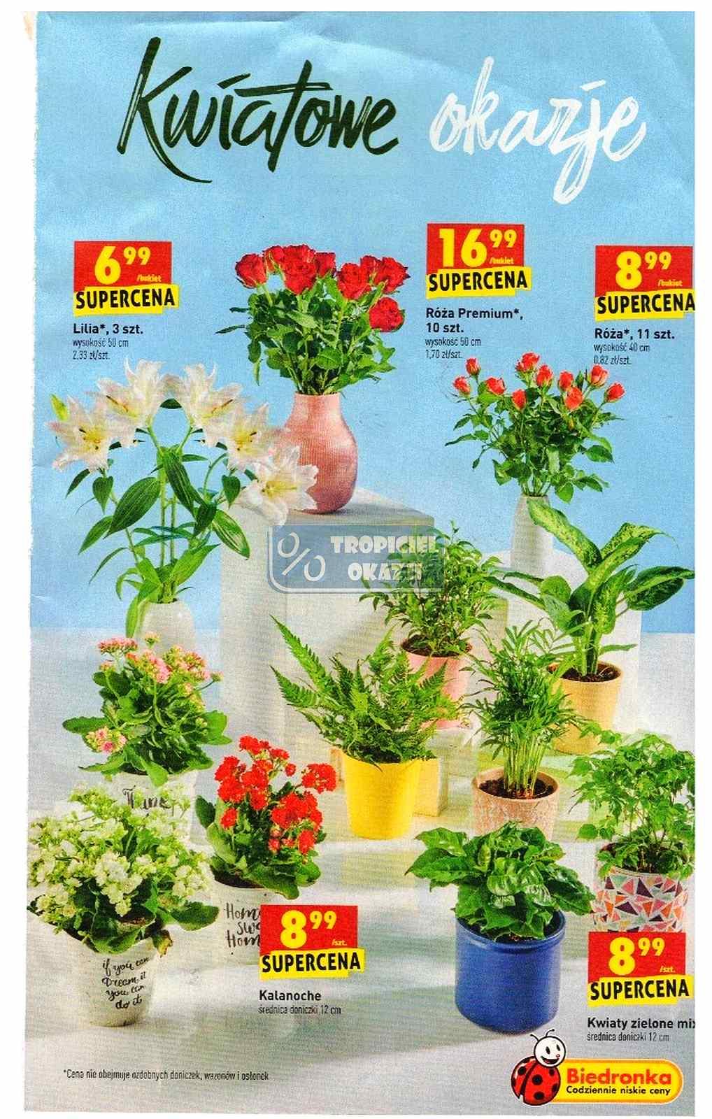 Gazetka promocyjna Biedronka str. 49