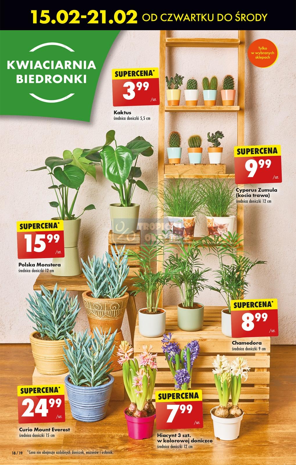 Gazetka promocyjna Biedronka str. 18