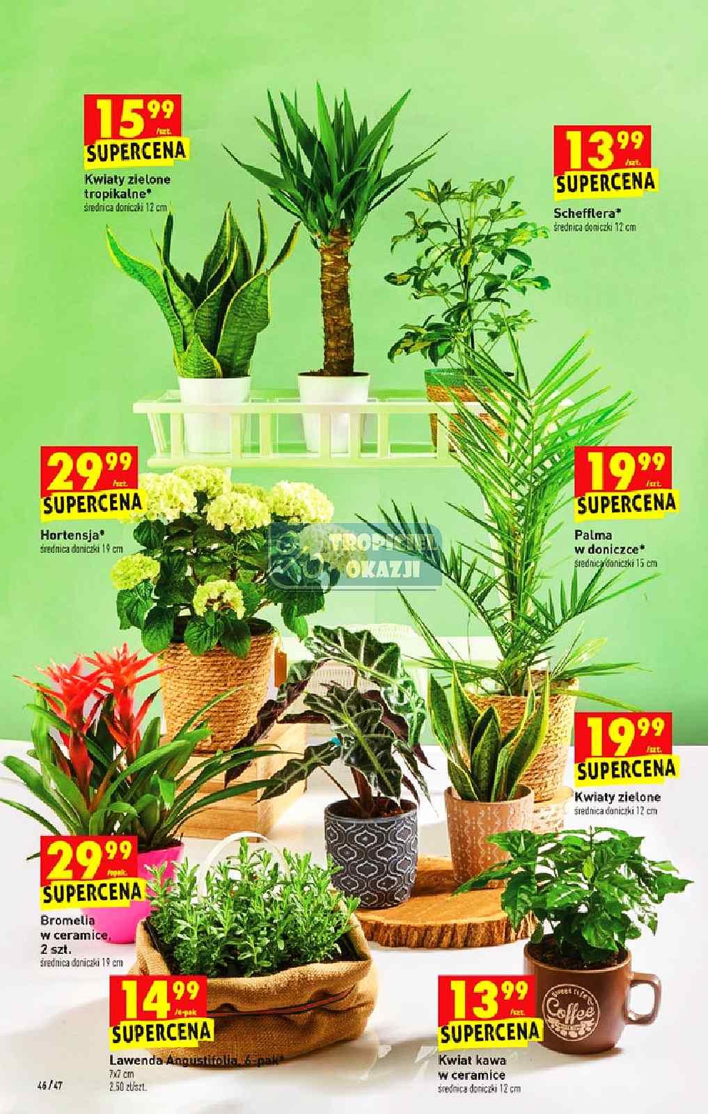 Gazetka promocyjna Biedronka str. 46