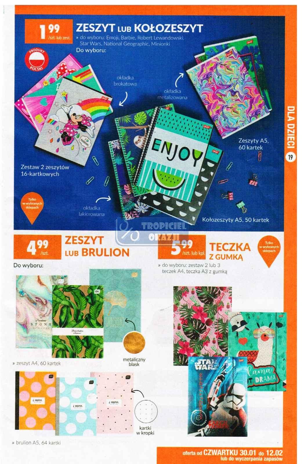 Gazetka promocyjna Biedronka str. 19