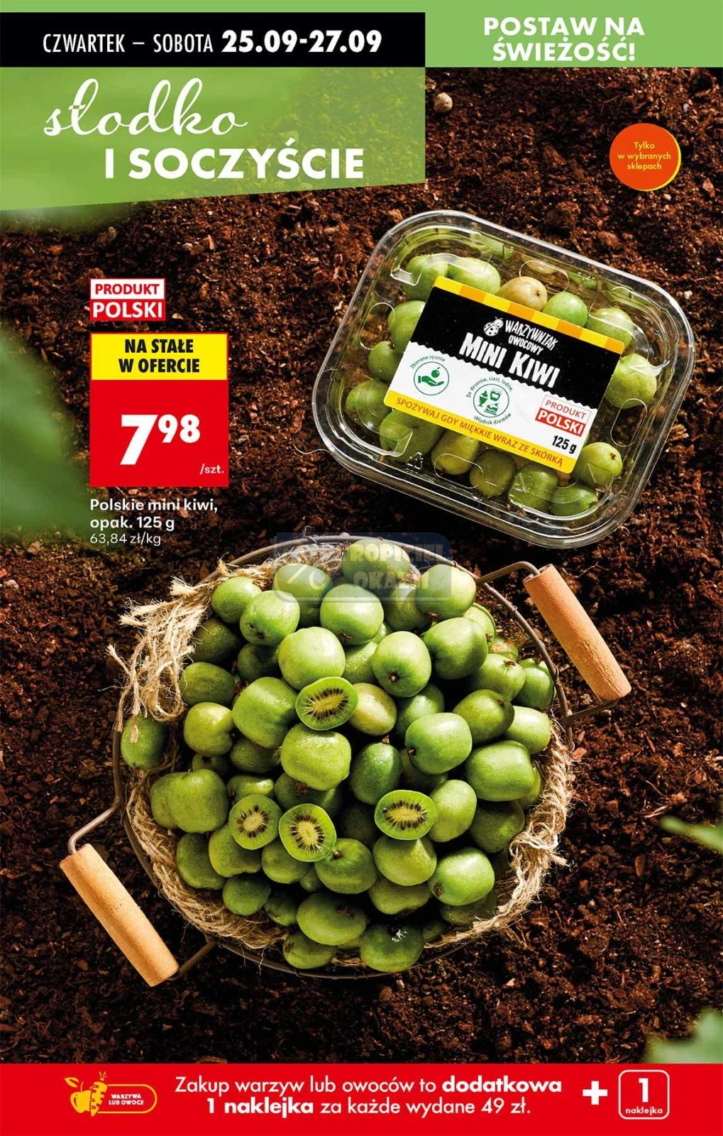 Gazetka promocyjna Biedronka str. 21