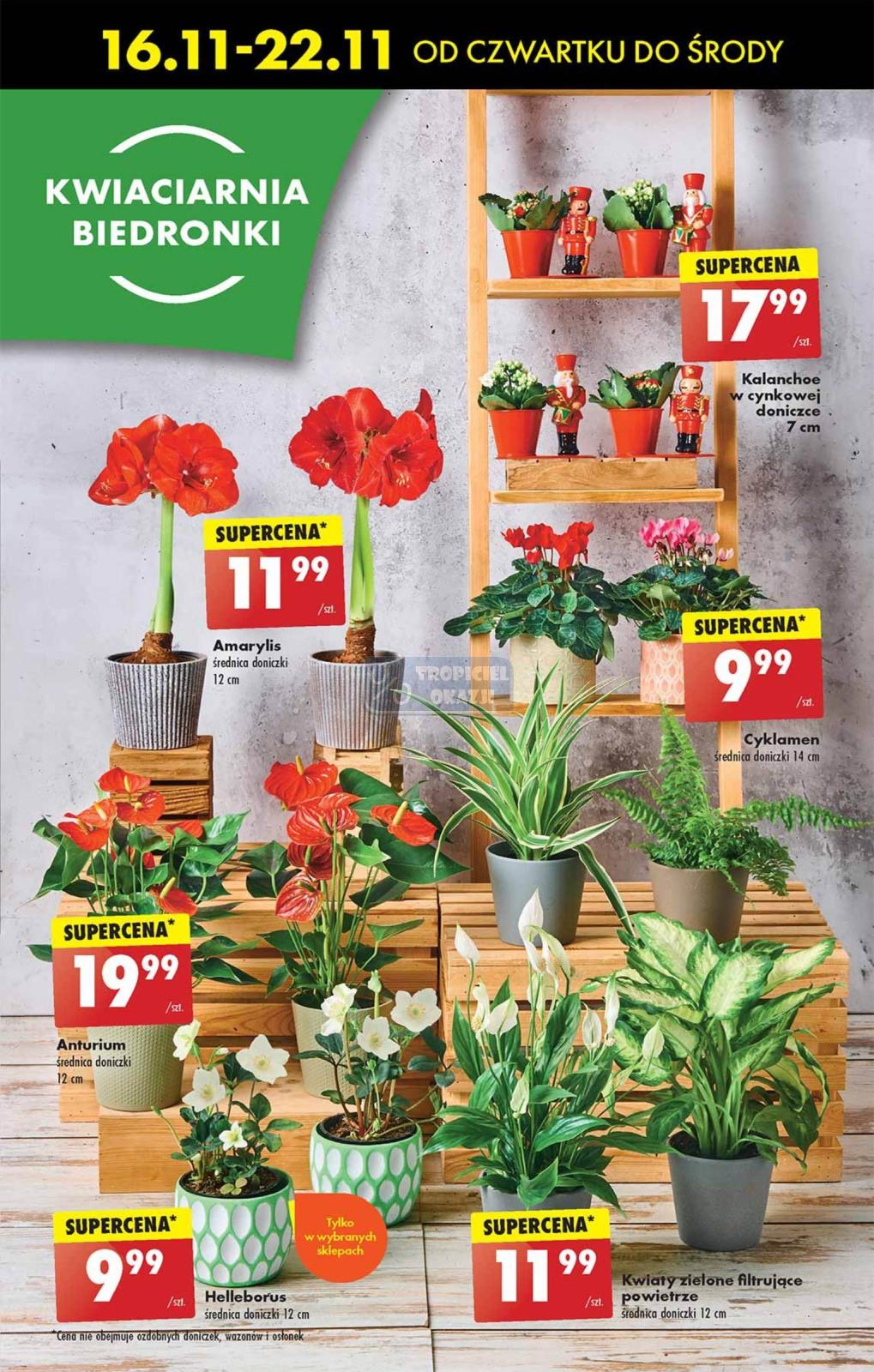 Gazetka promocyjna Biedronka str. 15