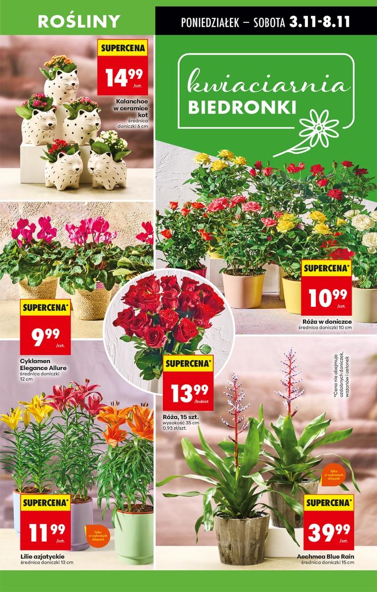 Gazetka promocyjna Biedronka str. 14