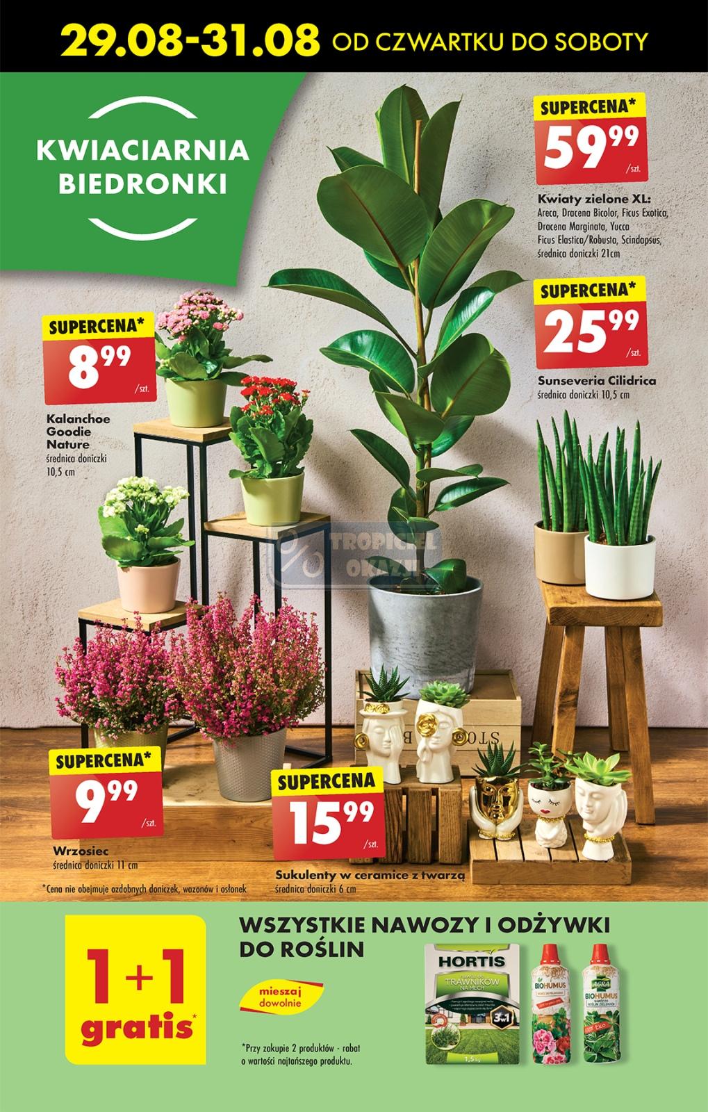 Gazetka promocyjna Biedronka str. 57