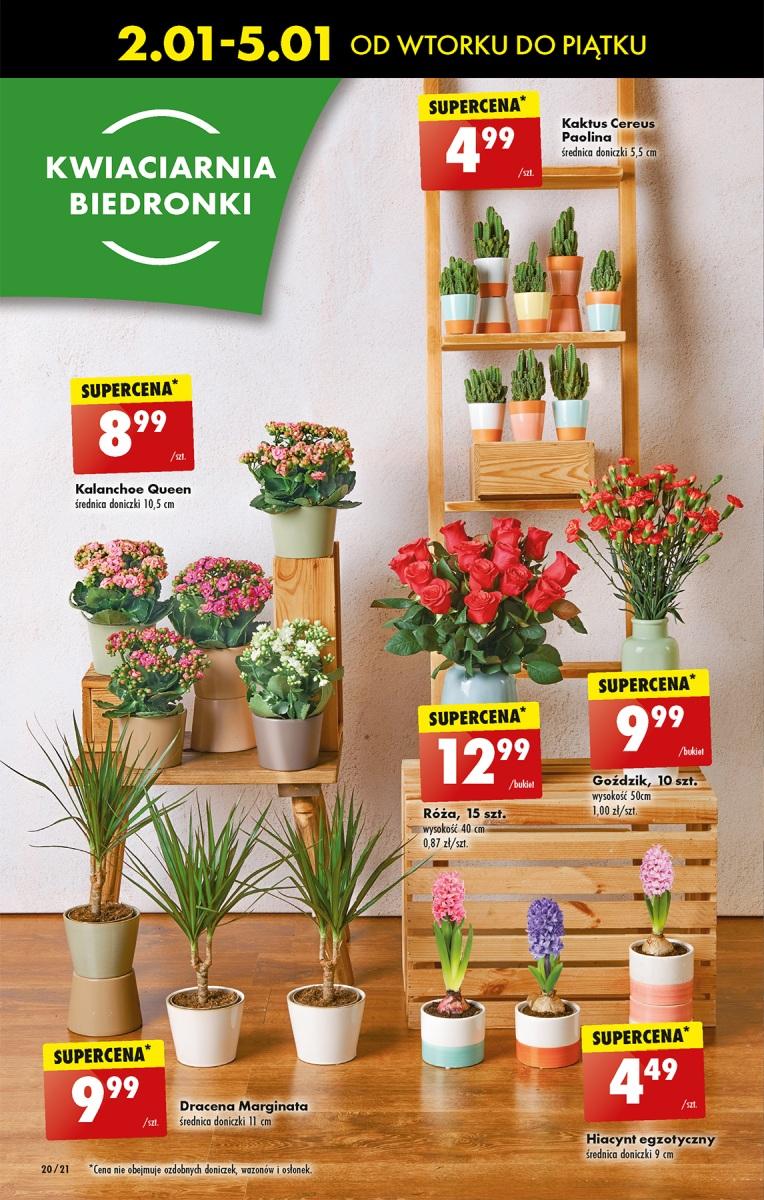 Gazetka promocyjna Biedronka str. 22