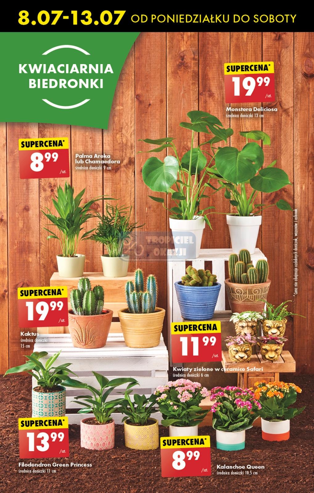 Gazetka promocyjna Biedronka str. 60