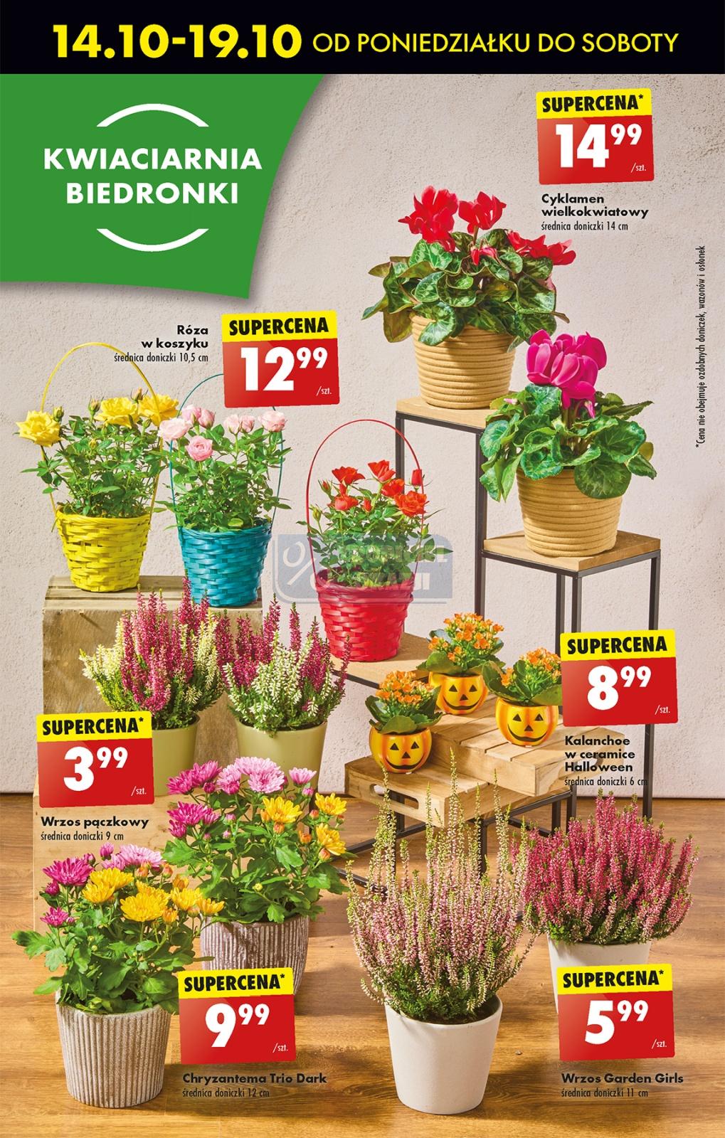 Gazetka promocyjna Biedronka str. 69