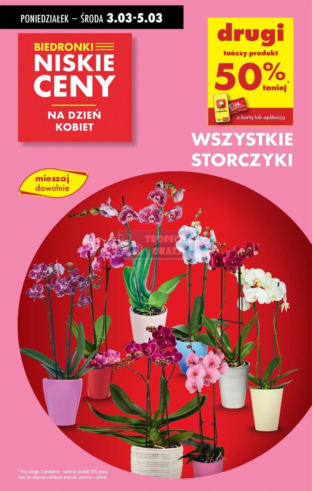 Gazetka promocyjna Biedronka str. 17