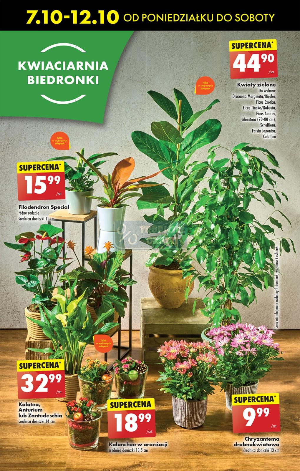 Gazetka promocyjna Biedronka str. 66