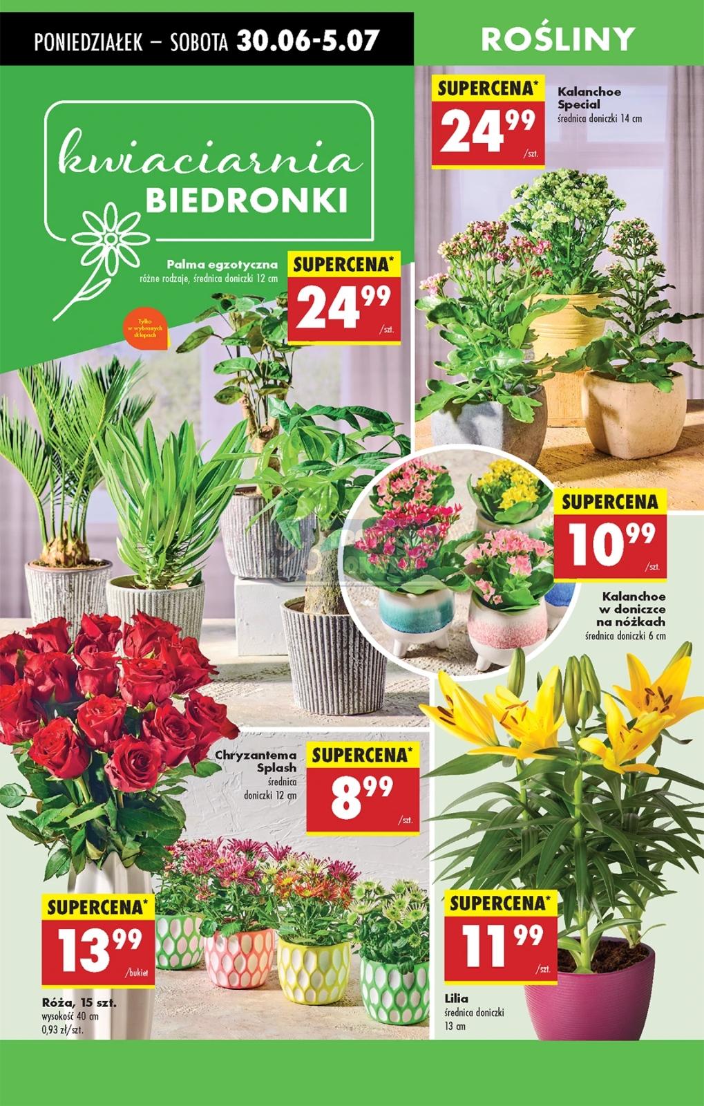 Gazetka promocyjna Biedronka str. 74