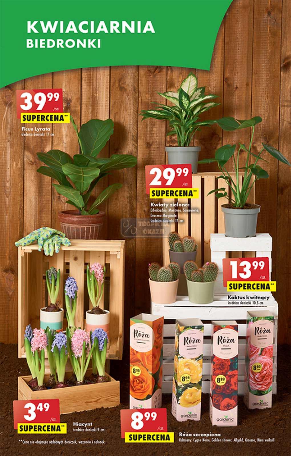 Gazetka promocyjna Biedronka str. 9