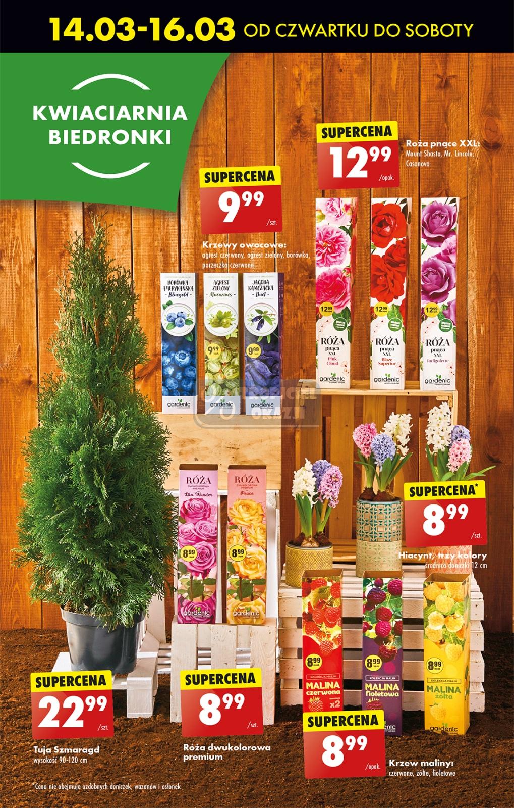 Gazetka promocyjna Biedronka str. 21