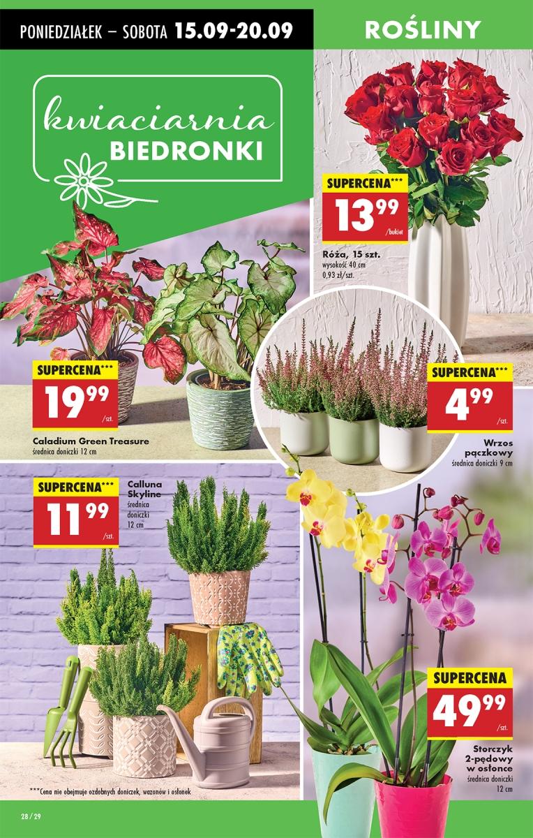 Gazetka promocyjna Biedronka str. 26