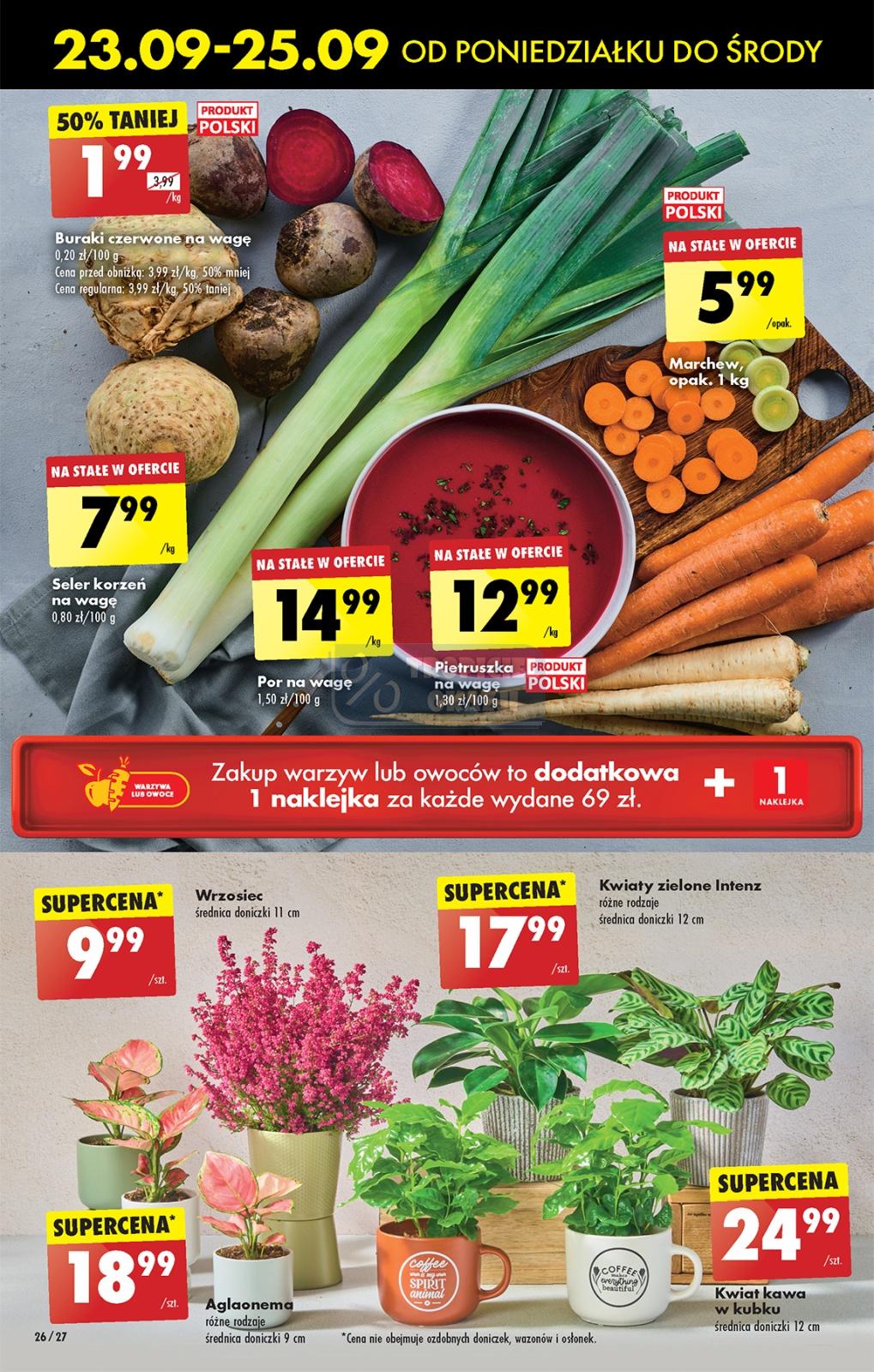 Gazetka promocyjna Biedronka str. 26