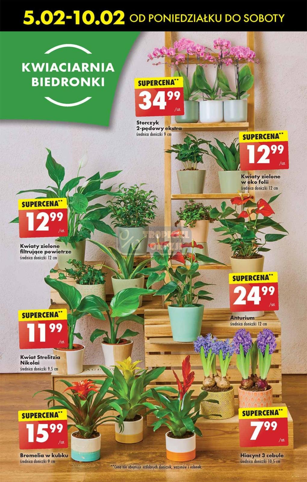 Gazetka promocyjna Biedronka str. 17