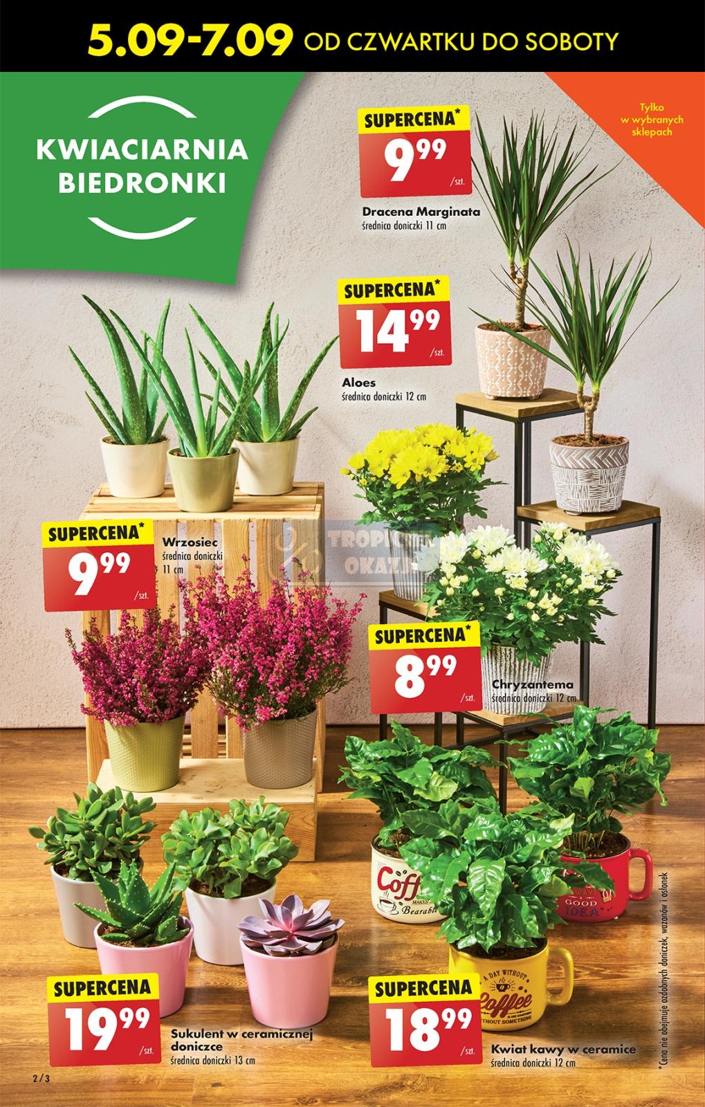 Gazetka promocyjna Biedronka str. 2