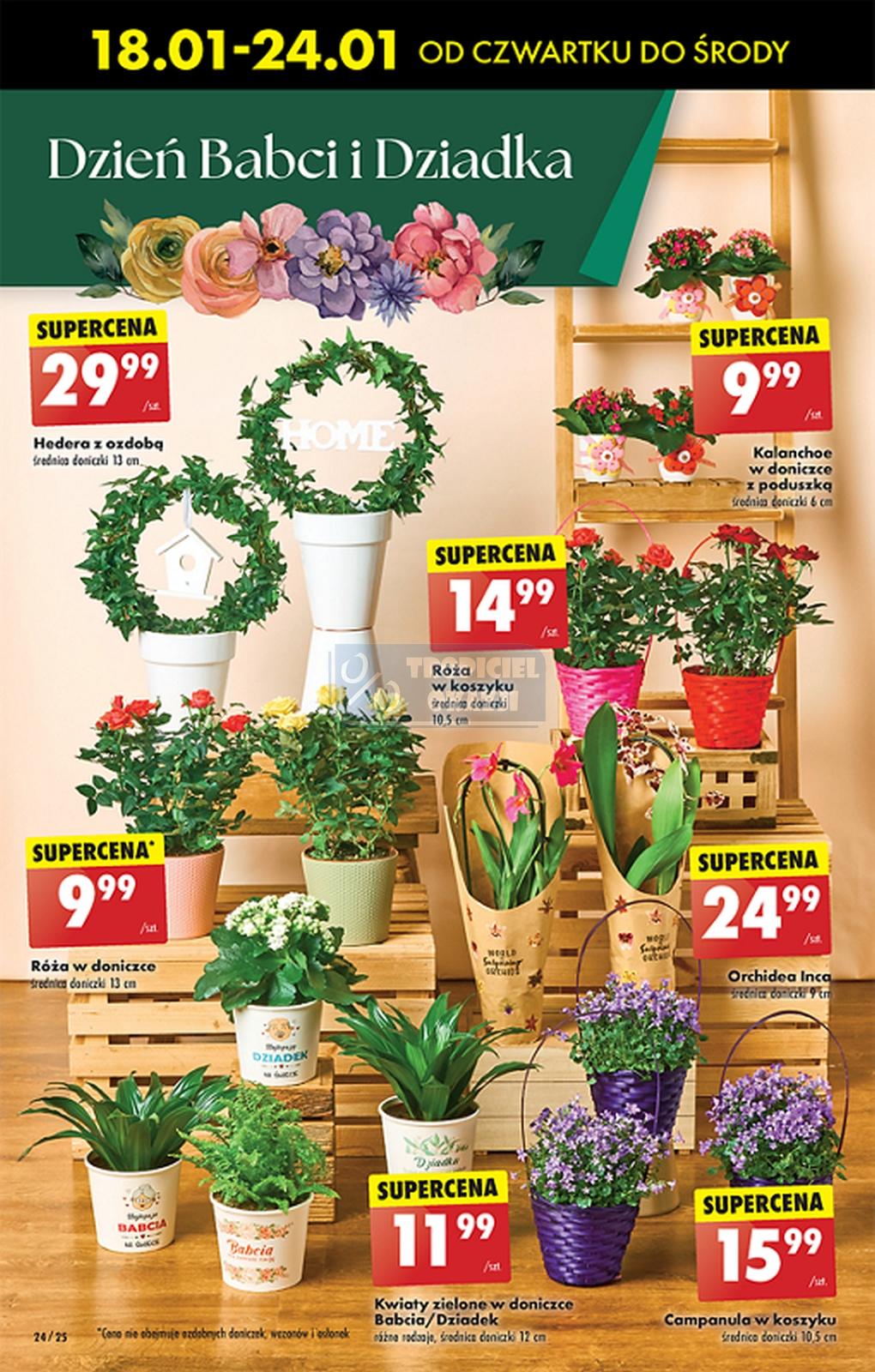 Gazetka promocyjna Biedronka str. 26