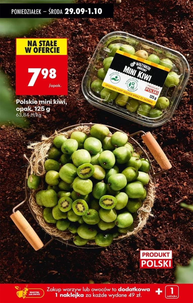 Gazetka promocyjna Biedronka str. 68