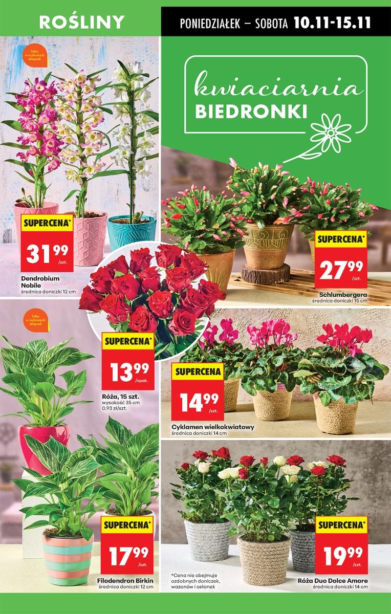 Gazetka promocyjna Biedronka str. 19