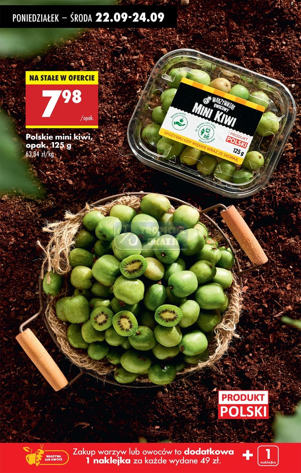 Gazetka promocyjna Biedronka str. 65