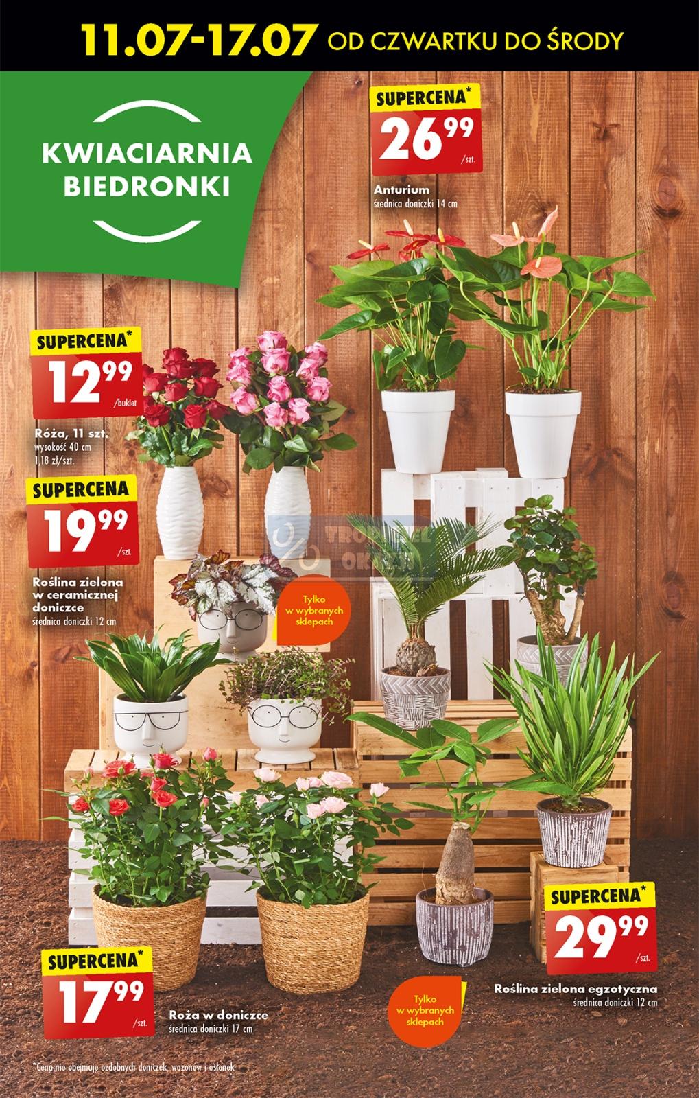 Gazetka promocyjna Biedronka str. 48