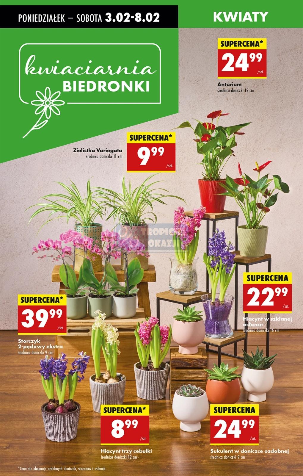 Gazetka promocyjna Biedronka str. 72