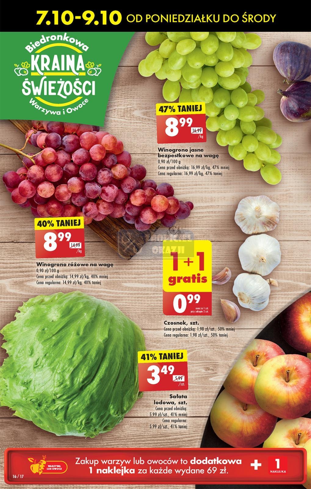 Gazetka promocyjna Biedronka str. 16