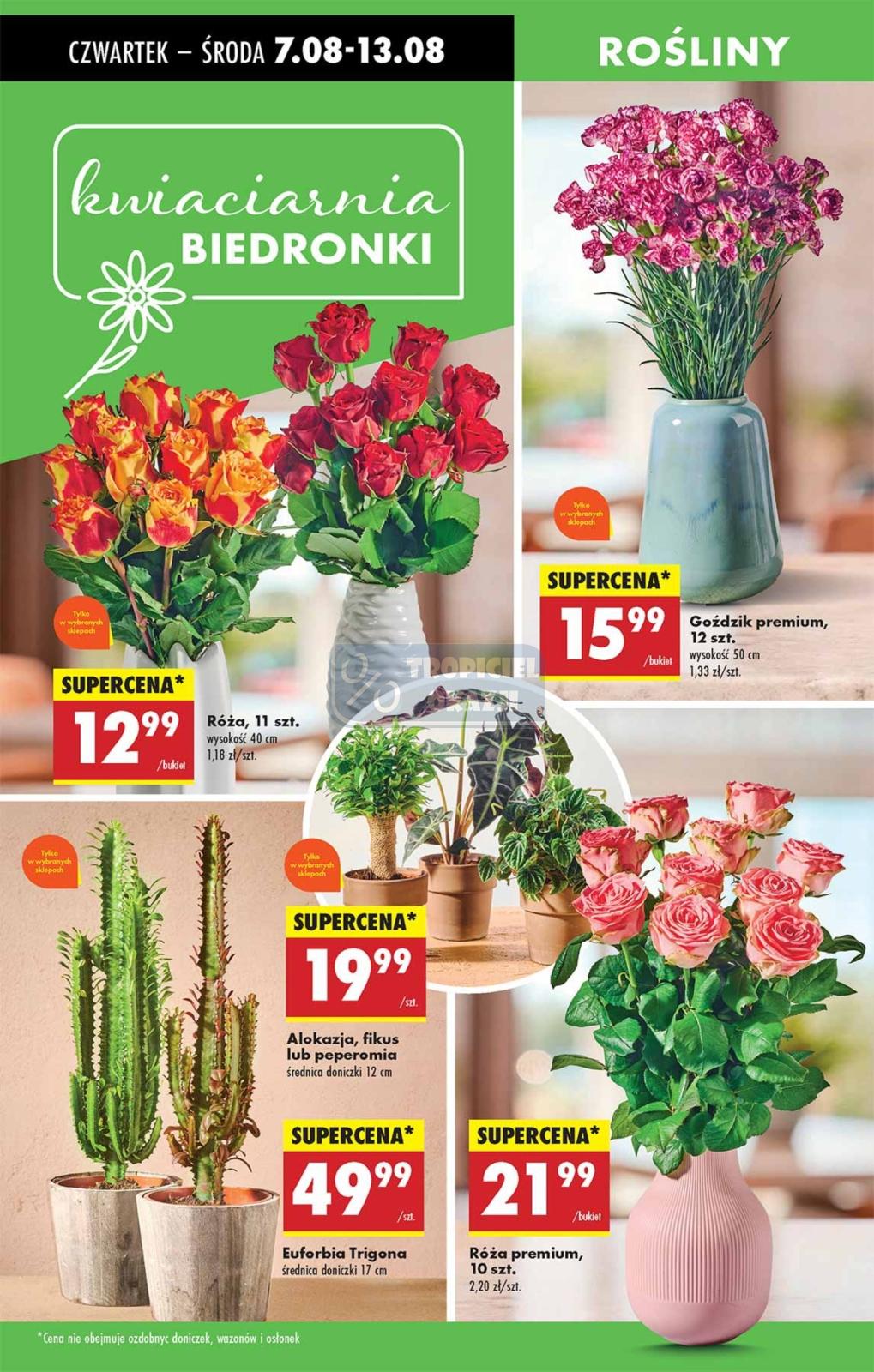 Gazetka promocyjna Biedronka str. 56