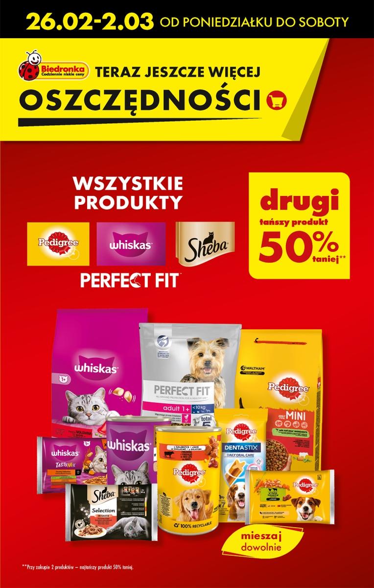 Gazetka promocyjna Biedronka str. 15