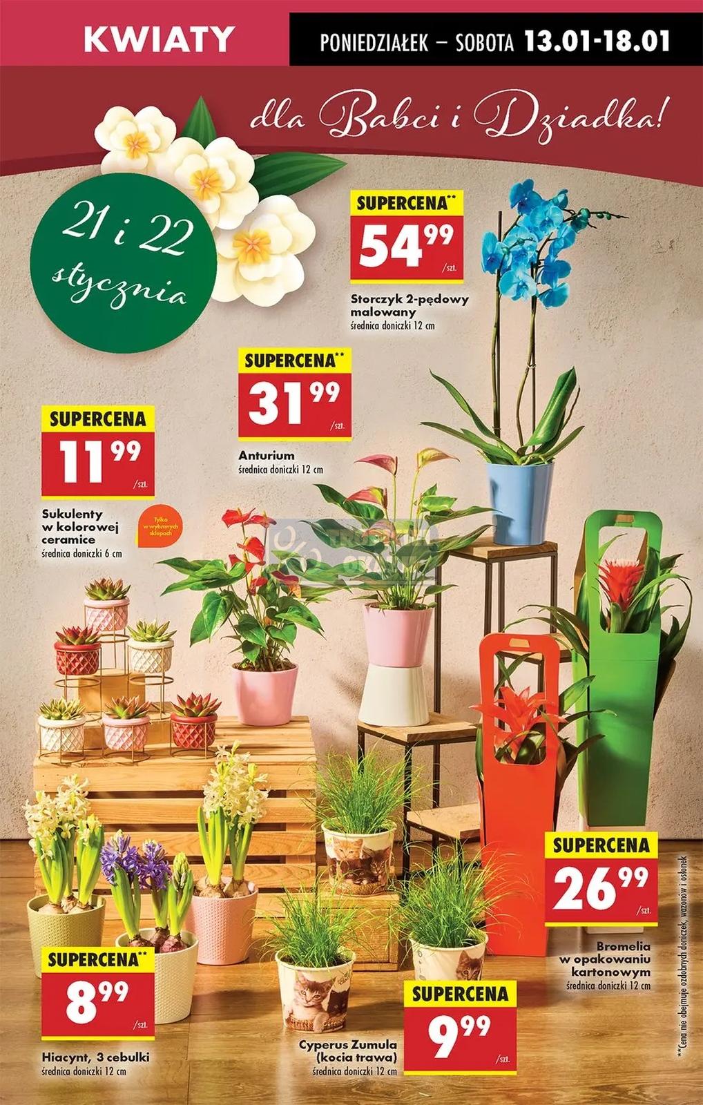 Gazetka promocyjna Biedronka str. 19