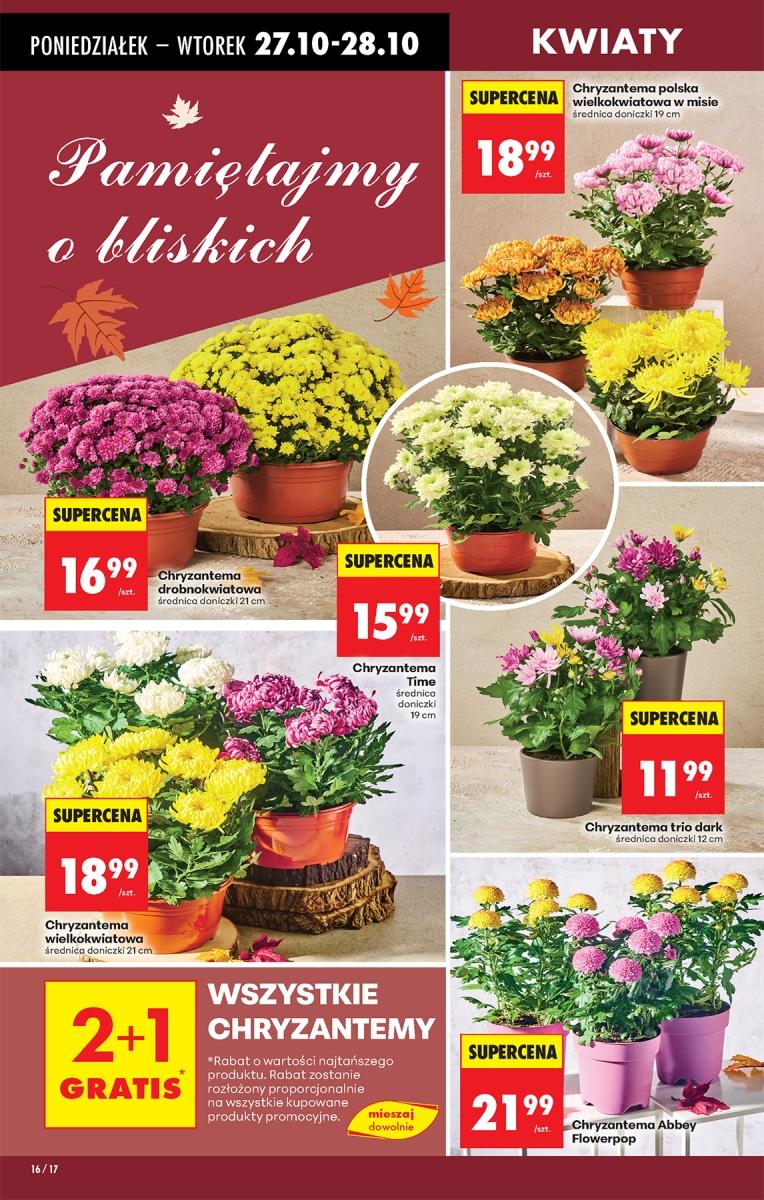 Gazetka promocyjna Biedronka str. 15