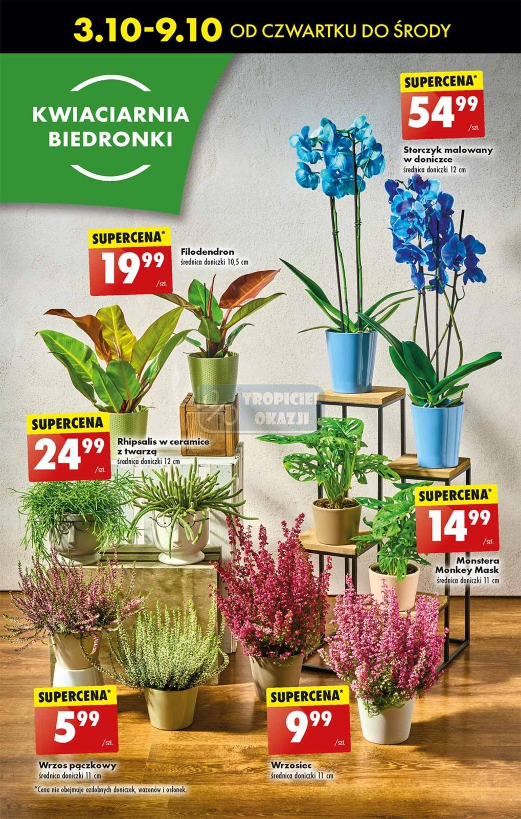 Gazetka promocyjna Biedronka str. 53