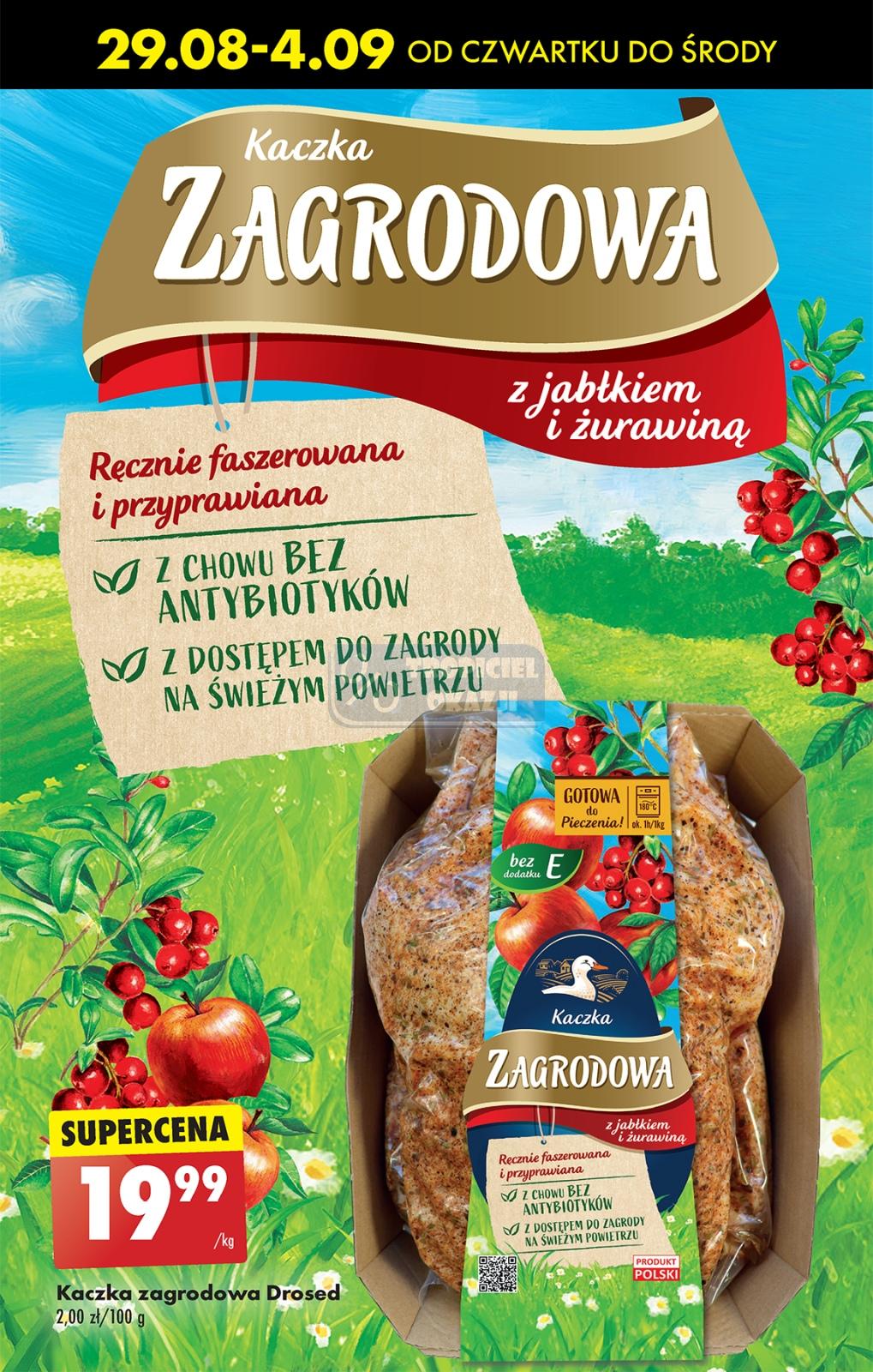 Gazetka promocyjna Biedronka str. 62