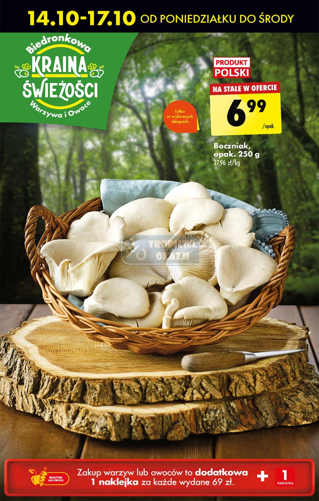 Gazetka promocyjna Biedronka str. 60