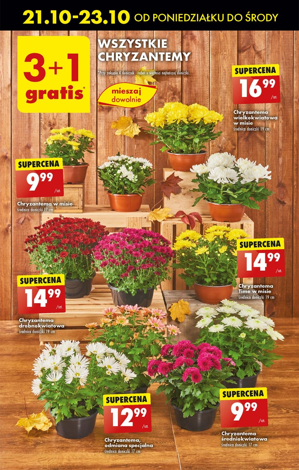 Gazetka promocyjna Biedronka str. 13