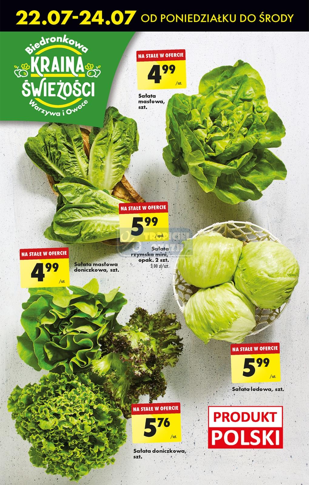 Gazetka promocyjna Biedronka str. 63