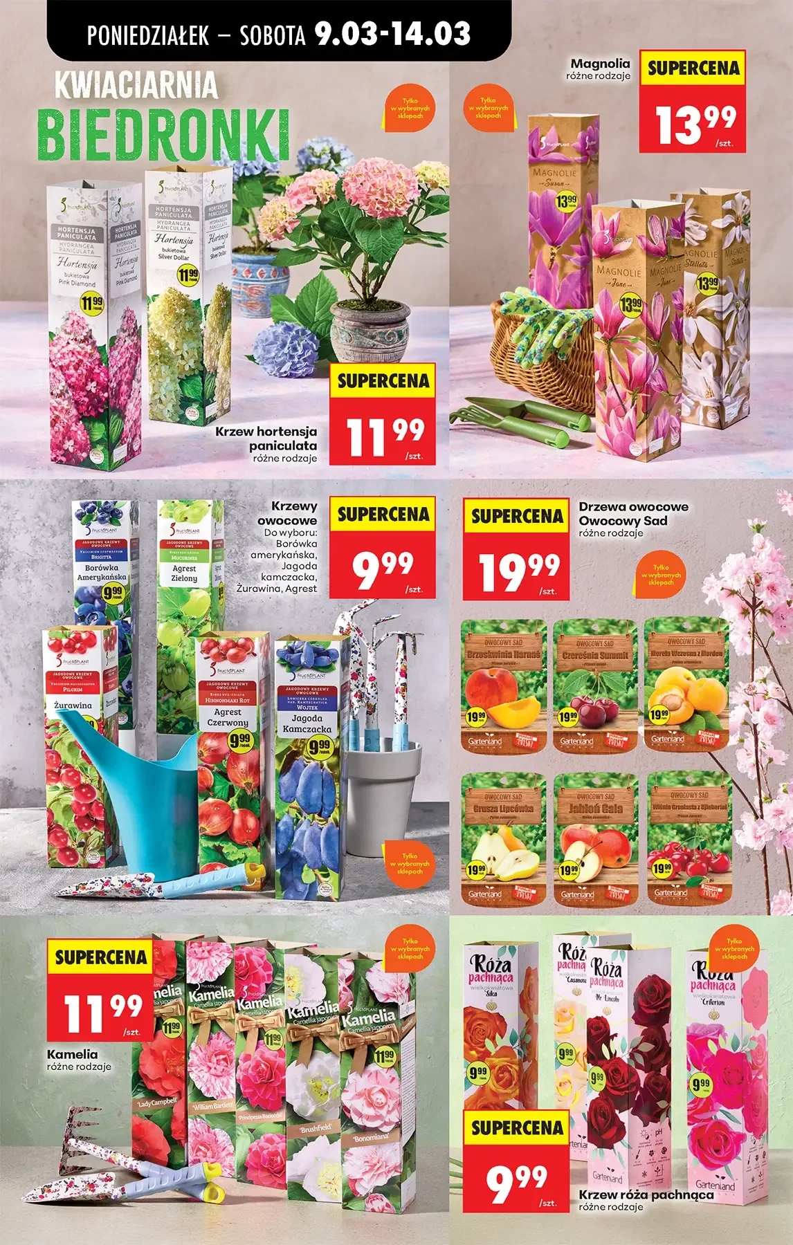 Gazetka promocyjna Biedronka str. 73