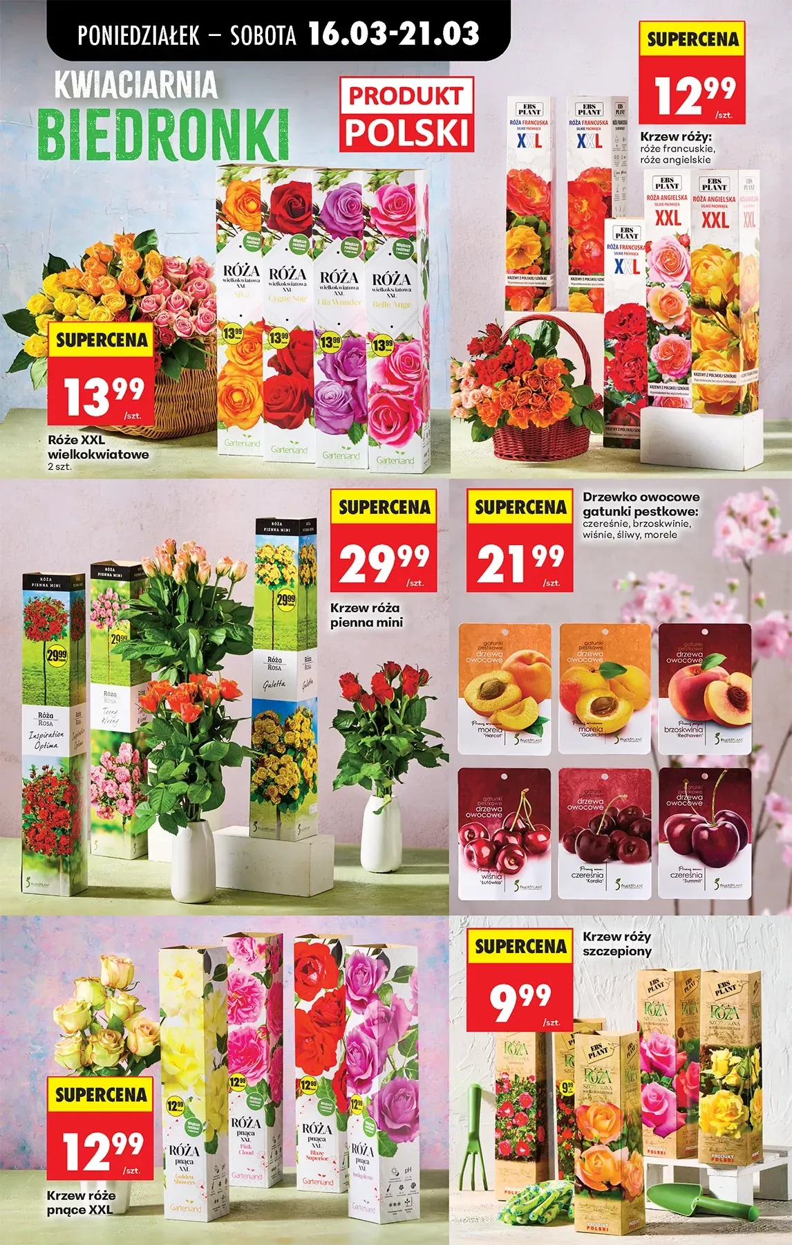 Gazetka promocyjna Biedronka str. 65