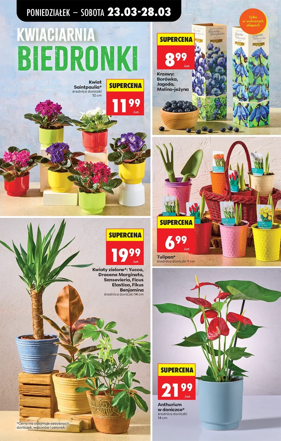 Gazetka promocyjna Biedronka str. 75