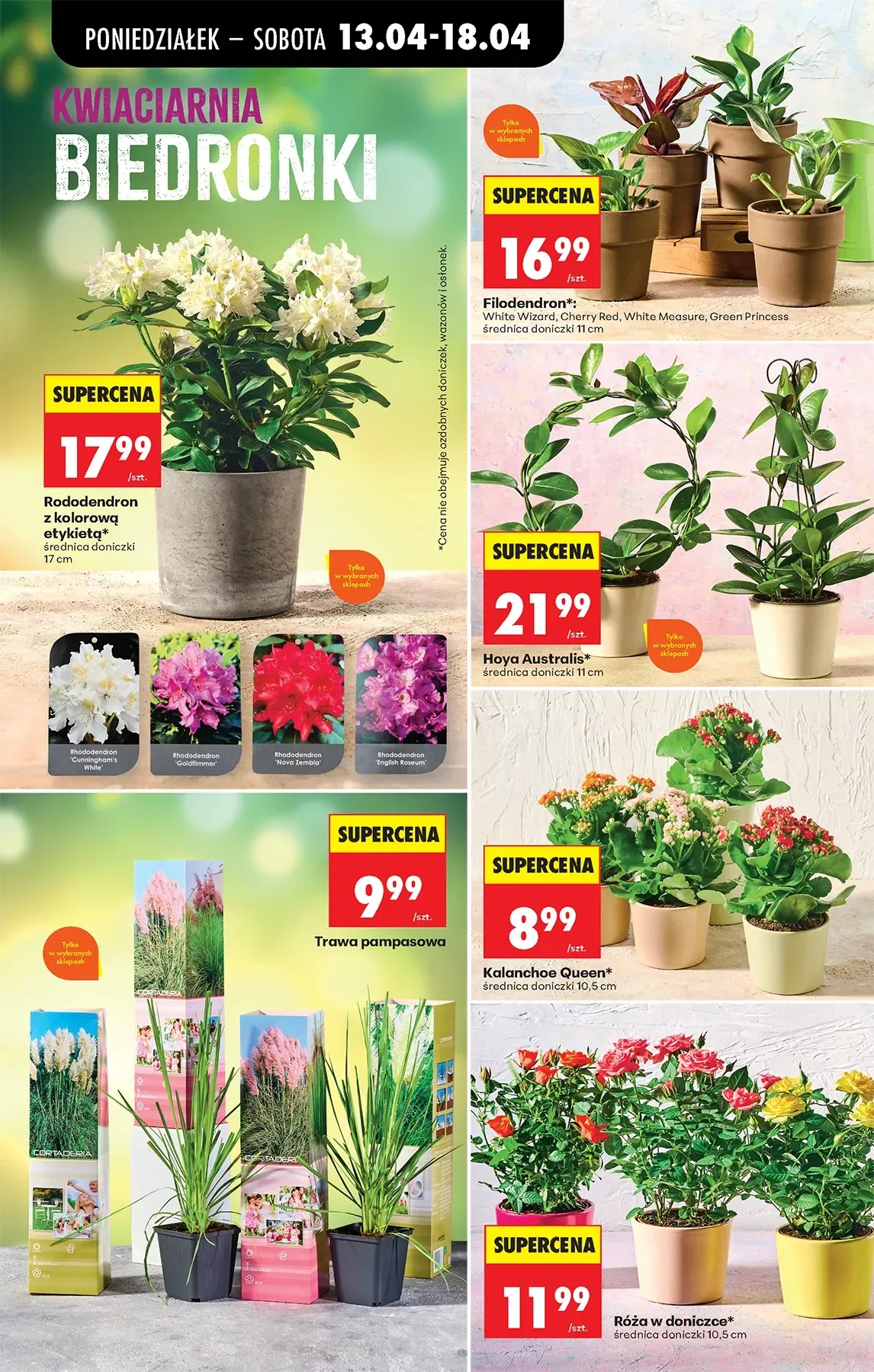 Gazetka promocyjna Biedronka str. 78