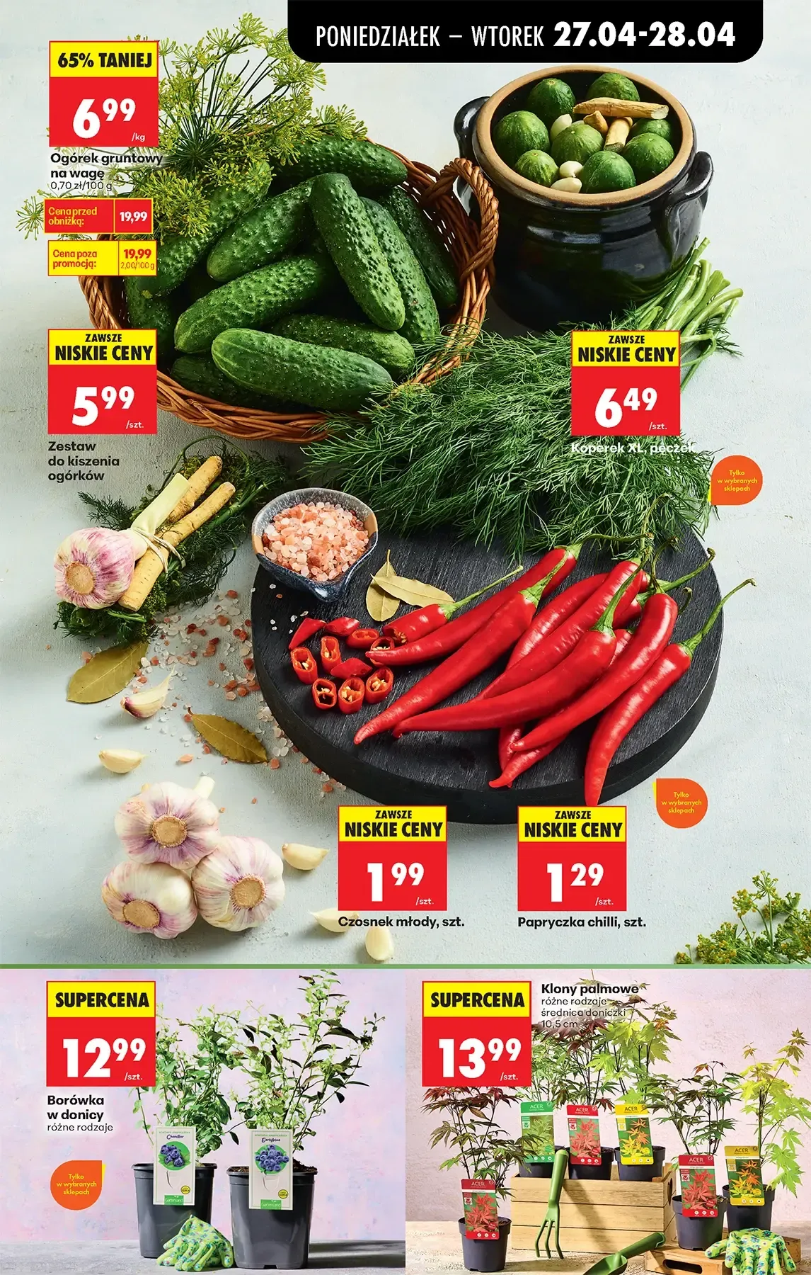 Gazetka promocyjna Biedronka str. 33