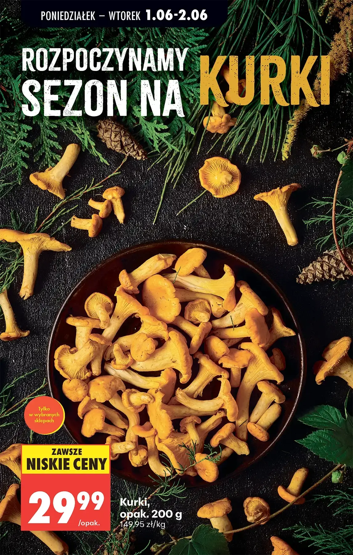 Gazetka promocyjna Biedronka str. 84